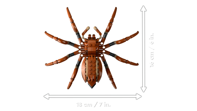 76434 Aragogs Aizliegtajā mežā