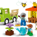 10419 LEGO DUPLO Town Bišu un stropu kopšana