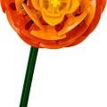 10342 LEGO Botanicals Kaunis vaaleanpunainen kukkakimppu