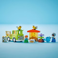 10419 LEGO DUPLO Town Bišu un stropu kopšana