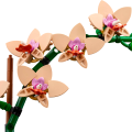 10343 LEGO Botanicals Väike orhidee