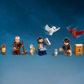 76430 LEGO Harry Potter TM Cūkkārpas pils Pūču māja