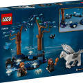 76432 LEGO Harry Potter TM Aizliegtais mežs: Maģiskās būtnes